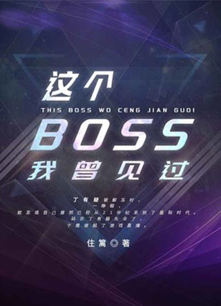 这个Boss我曾见过小说