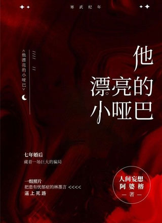 他漂亮的小哑巴沈嘉明小说