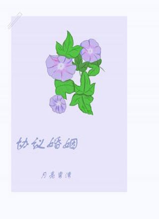 协议婚姻小说