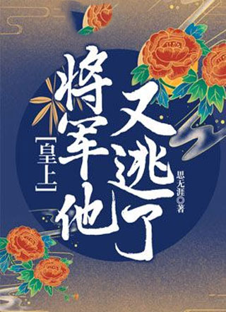 皇上，将军他又逃了小说