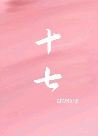 十七小说