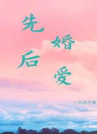 先婚后爱曲宁小说