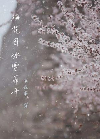 梅花因冰雪而开小说