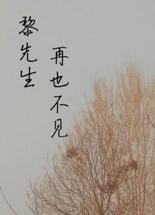 黎先生，再也不见小说