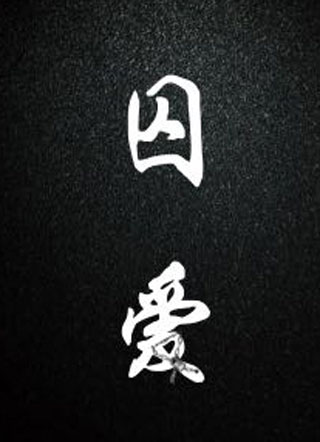 囚爱小说