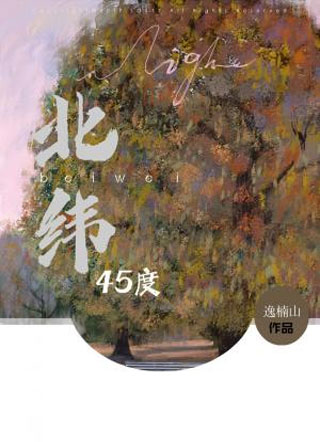 北纬45度小说