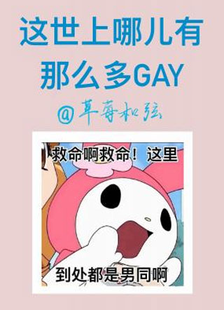 这世上哪儿有那么多gay小说