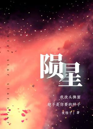 陨星小说