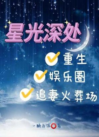 星光深处小说