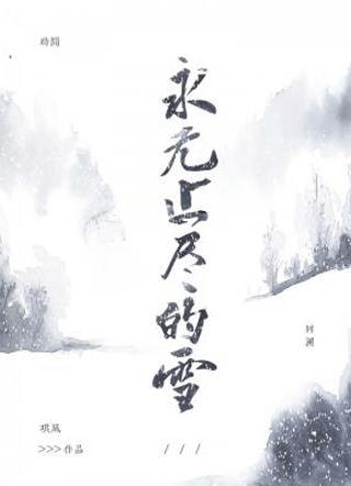 永无止尽的雪小说