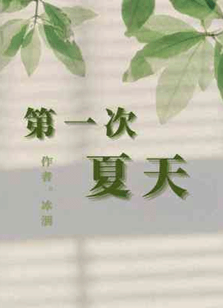 第一次夏天小说