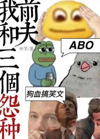 我和三个怨种前夫小说