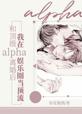 和顶级alpha离婚后，我在娱乐圈当顶流小说