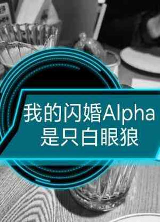 我的闪婚Alpha是只白眼狼小说