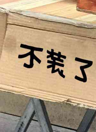 不装了小说