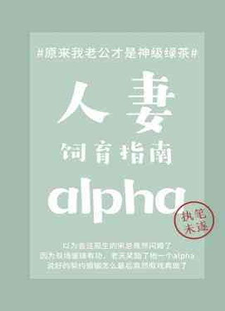 人妻alpha饲育指南晏清河小说