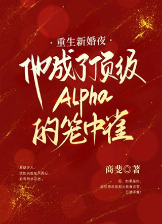 重生新婚夜，他成了顶级Alpha的笼中雀小说